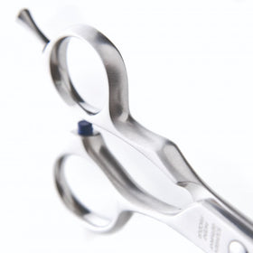 Jaguar 5½" Xenox Scissors